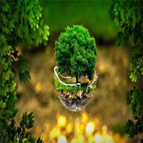 فیروزه بابایوا دونیا یالاندی عمور یالاندی سن یوخسان یانیمدا هر شئی یالاندی